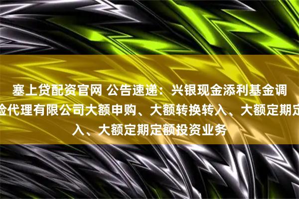 塞上贷配资官网 公告速递：兴银现金添利基金调整在玄元保险代理有限公司大额申购、大额转换转入、大额定期定额投资业务