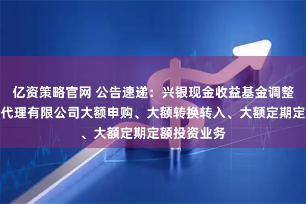 亿资策略官网 公告速递：兴银现金收益基金调整在玄元保险代理有限公司大额申购、大额转换转入、大额定期定额投资业务