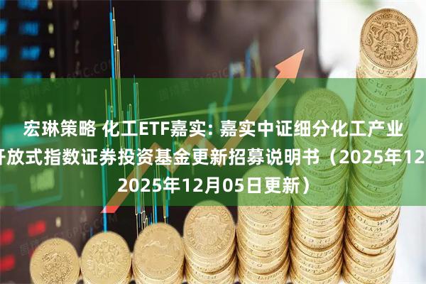 宏琳策略 化工ETF嘉实: 嘉实中证细分化工产业主题交易型开放式指数证券投资基金更新招募说明书（2025年12月05日更新）